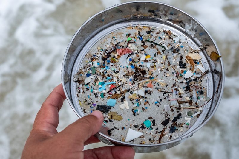 Microplastics collected in Sieve