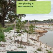Arborgreen Tree Planting and Erosion Control Brochure